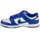 2. Buty Nike Dunk Low Retro M DV0833-103