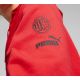 4. Bluza Puma AC Milan FtbCore Graphic Hoody M 772316-01