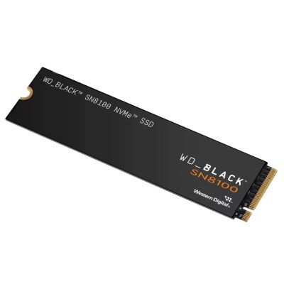2. SSD WD Black SN8100 w/o HS 1TB  WDS100T1X0M