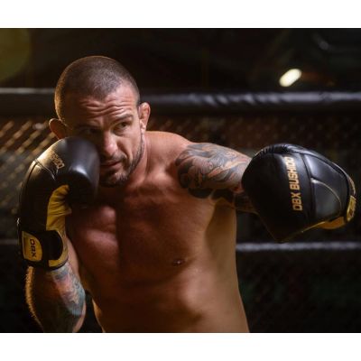 5. Rękawice bokserskie 10oz - Hammer Gold - Legacy Series