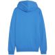 8. Bluza Puma Team Goal Casuals Hooded M 658595 02
