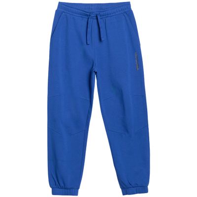 8. Spodnie 4F CAS Jr 4FJWSS25TTROM0965 36S