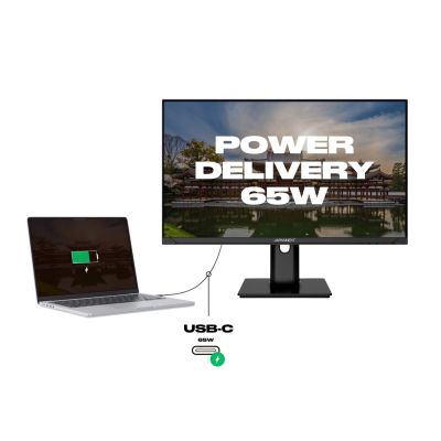 6. Japońska kamera japońska 60,5 cm JN-IPS238FHDR-C65W-HSP 16:9 HDMI/DP FHD