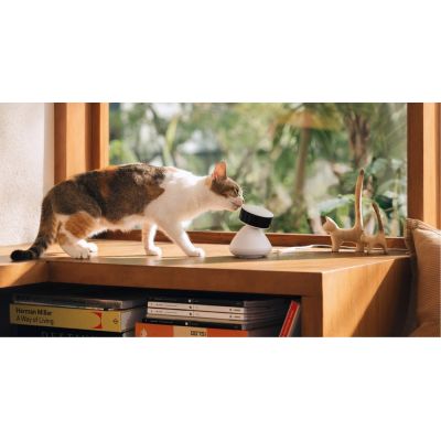 3. Petlibro Scout Smart Camera Kopułowa Kamera bezpieczeństwa IP Wewnętrzna 1920 x 1080 px Sufit/ściana/biurko