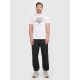 3. T-shirt regular z nadrukiem męski 4F 4FRAW25TTSHM3612-10S
