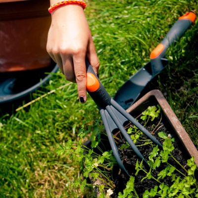 2. PAZURKI KULTYWATOR OGRODOWY