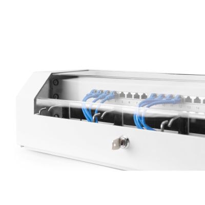 53. Szafa wisząca NWS 19" Slim Line 3HE rotierbar, 2HE fix, 145x500x475 mm, kolor szary (RAL 7035)