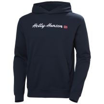 Bluza Helly Hansen Core Graphic Sweat Hoodie M 53924 596