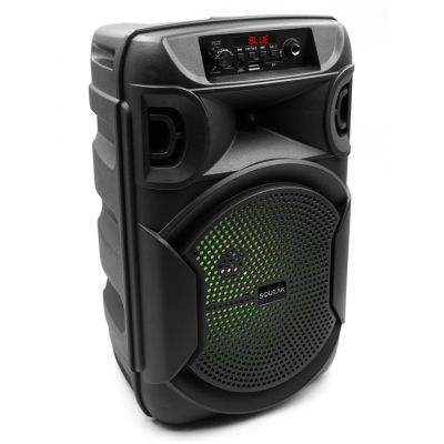 10. SQUEAK GŁOŚNIK KARAOKE PULSETOWER BLUETOOTH 5.3, RADIO FM, MICROSD, AUX, USB SQ1006