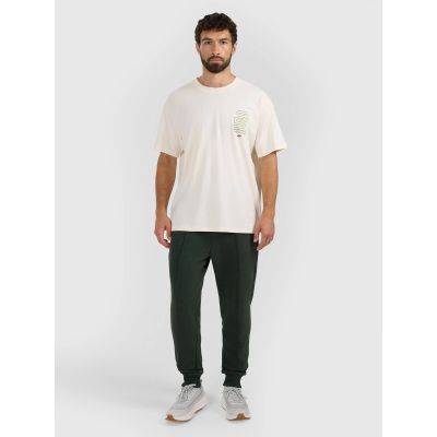 4. Spodnie dresowe joggery męskie 4F 4FRAW25TTROM1671-40M