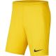 4. Spodenki Nike Dry Park III NB K M BV6855 719