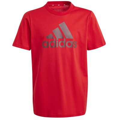 5. Koszulka adidas Big Logo Tee Jr IJ6262