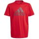 5. Koszulka adidas Big Logo Tee Jr IJ6262