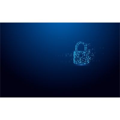 5. Kingston Technology IronKey Vault Privacy 50 pamięć USB 64 GB USB Typu-A 3.2 Gen 1 (3.1 Gen 1) Czarny, Niebieski