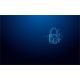 5. Kingston Technology IronKey Vault Privacy 50 pamięć USB 64 GB USB Typu-A 3.2 Gen 1 (3.1 Gen 1) Czarny, Niebieski