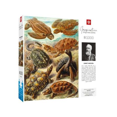 3. Puzzle Good Loot Imagination: Ernst Haeckel Chelonia - Żółwie morskie, 1000 elementów