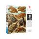 3. Puzzle Good Loot Imagination: Ernst Haeckel Chelonia - Żółwie morskie, 1000 elementów
