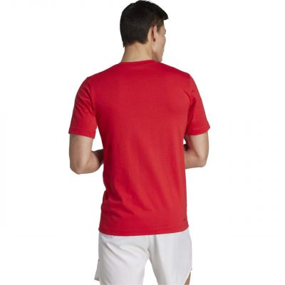 3. Koszulka adidas Train Essentials Seasonal Training Graphic M IJ9604