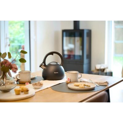 2. Czajnik nieelektryczny TEFAL N4180410