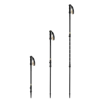 4. Kije trekkingowe Spokey Trail SPK-944827