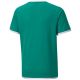 2. Koszulka Puma teamLIGA Jersey Jr 704925 05