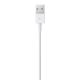 4. Apple Lightning to USB Cable (1m)