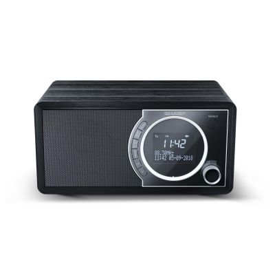 2. Osobisty cyfrowy czarny radio Sharp DR-450, stal nierdzewna
