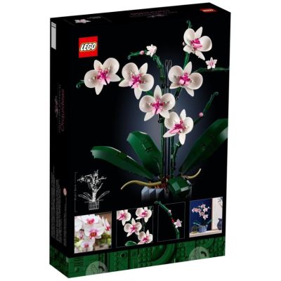 9. LEGO Icons 10311 - Orchidea