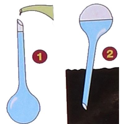 6. AUTOMATYCZNA KONEWKA DOZOWNIK KULA DO NAWADNIANIA 250ML FIOLET