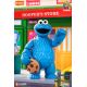 3. BLOKEES SESAME STREET FIGURES preCOOL S2 - COOKIE MONSTER
