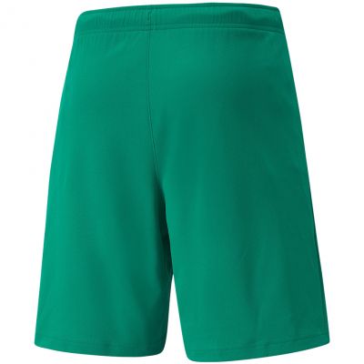 2. Spodenki Puma teamRISE Short M 704942 05