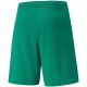 2. Spodenki Puma teamRISE Short M 704942 05