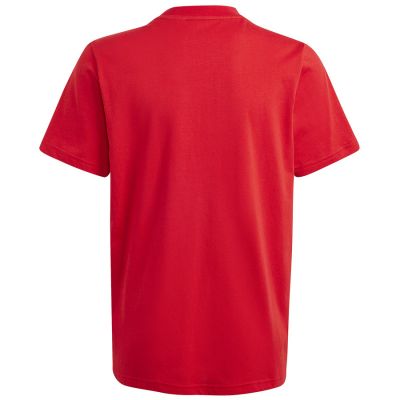 6. Koszulka adidas Big Logo Tee Jr IJ6262