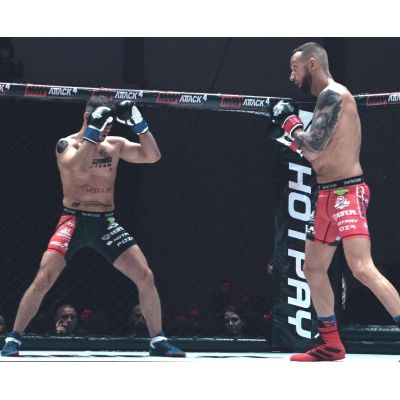 44. Rękawice bokserskie 10oz - Classic White - Origin Series