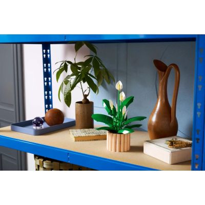 5. LEGO Botanical 11504 Skrzydłokwiat w doniczce