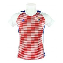 Koszulka damska adidas MiTiro 17 Górnik Zabrze Home BR6833