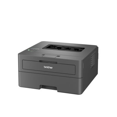 17. Drukarka Brother HL-L2445DW szary