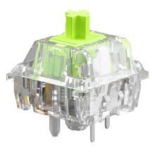 Przełącznik mechaniczny Glorious Raptor Standard Switch, mechanisch, 5-Pin, clicky, MX-Stem, 55g - lubed, 36 Stück
