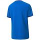 2. Koszulka Puma teamGOAL 23 Jersey Jr 704160 02