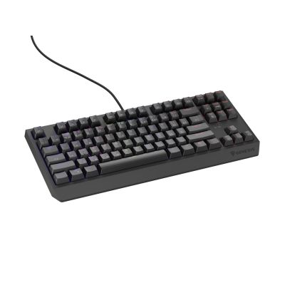 3. KLAWIATURA DLA GRACZY GENESIS THOR 230 TKL CZ/SK RGB MECHANICZNA OUTEMU RED CZARNA HOT SWAP