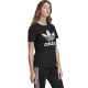 12. Koszulka adidas Trefoil Tee W FM3311