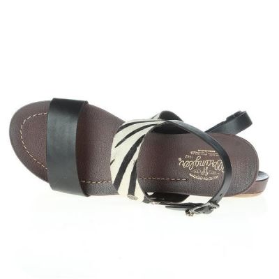 4. Wrangler Lola Safary WL141652-62