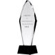 9. Trofeum szklane grawerowane H 31 cm