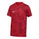 Koszulka Nike Dri-Fit Precision VII FZ9332-100