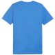 4. Koszulka Puma Team Goal Casuals Tee M 658615 02