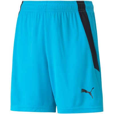 3. Spodenki Puma teamLIGA Shorts Jr 704931 40
