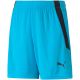 3. Spodenki Puma teamLIGA Shorts Jr 704931 40