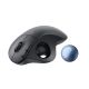 12. Logitech ERGO M575 for Business myszka Biuro Po prawej stronie RF Wireless + Bluetooth Manipulator kulkowy 2000 DPI