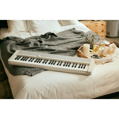 5. CASIO CT-S1 WE - Keyboard