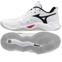 Buty Mizuno WAVE MOMENTUM PRO V1GA254059